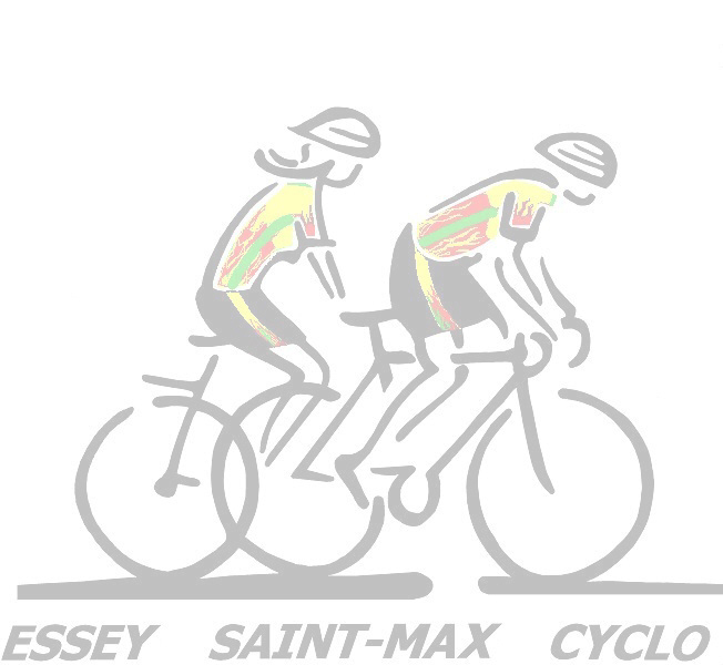composition de 2009.